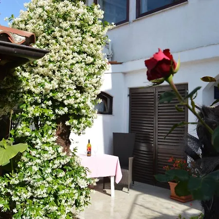 Zita Apartment *